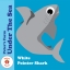 White Pointer Shark
