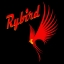 Rybird