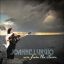 Joanne Lurgio - Rise From The Storm
