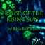 Bible Belt Blues - The House of The Rising Sun