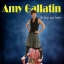 Amy Gallatin - The Long Way Home
