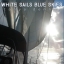 Tanya Dennis - White Sails Blue Skies