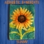 Acoustic Syndicate - Sunny [Single]