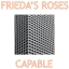 Frieda's Roses - Capable (02:27) *FEATURED TRACK*