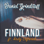 Finnland feat. Andy Leftwich