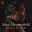 10 Mud Morganfield - Blues In My Shoes