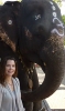 Lydia McCauley with Laxshmi, a temple elephant in Pondicherry, India
