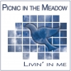 Album cover for Picnic in the Meadow's 