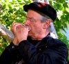 David Naiditch playing the chromatic harmonica.