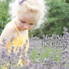 JK Gulley - Time Stood Still