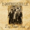 Doug Flowers Band-Brothersville CD Cover